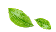 footer-leaves