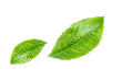 footer-leaves